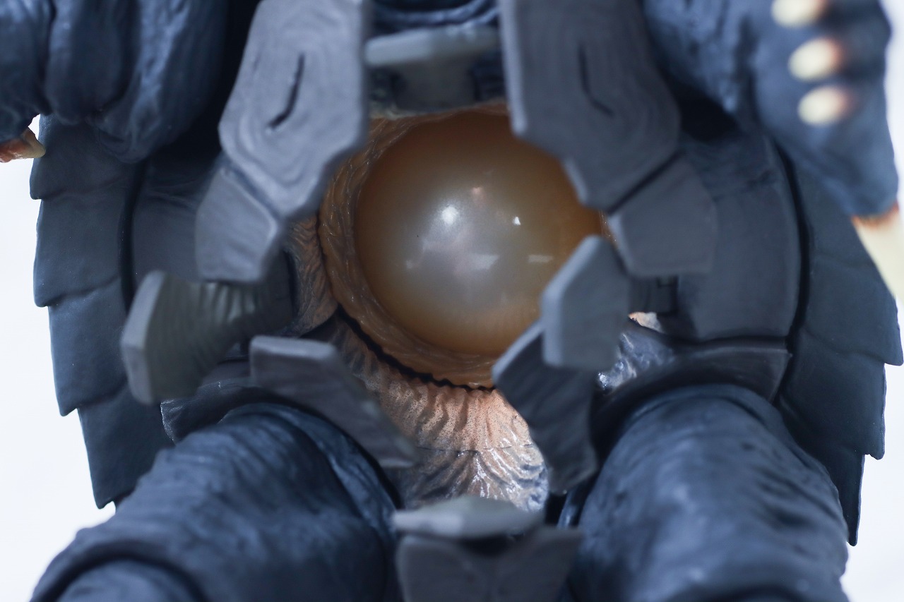 S.H.モンスターアーツ　ガメラ　1996　仙台決戦ver.　レビュー　本体