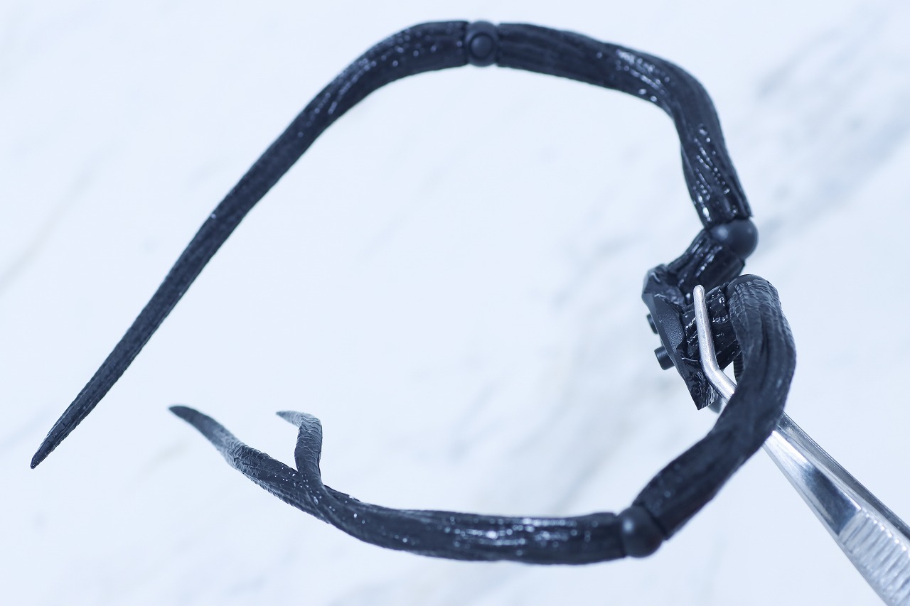 S.H.フィギュアーツ　ヴェノム（『ヴェノム：ザ・ラスト・ダンス』）　レビュー　付属品　触手