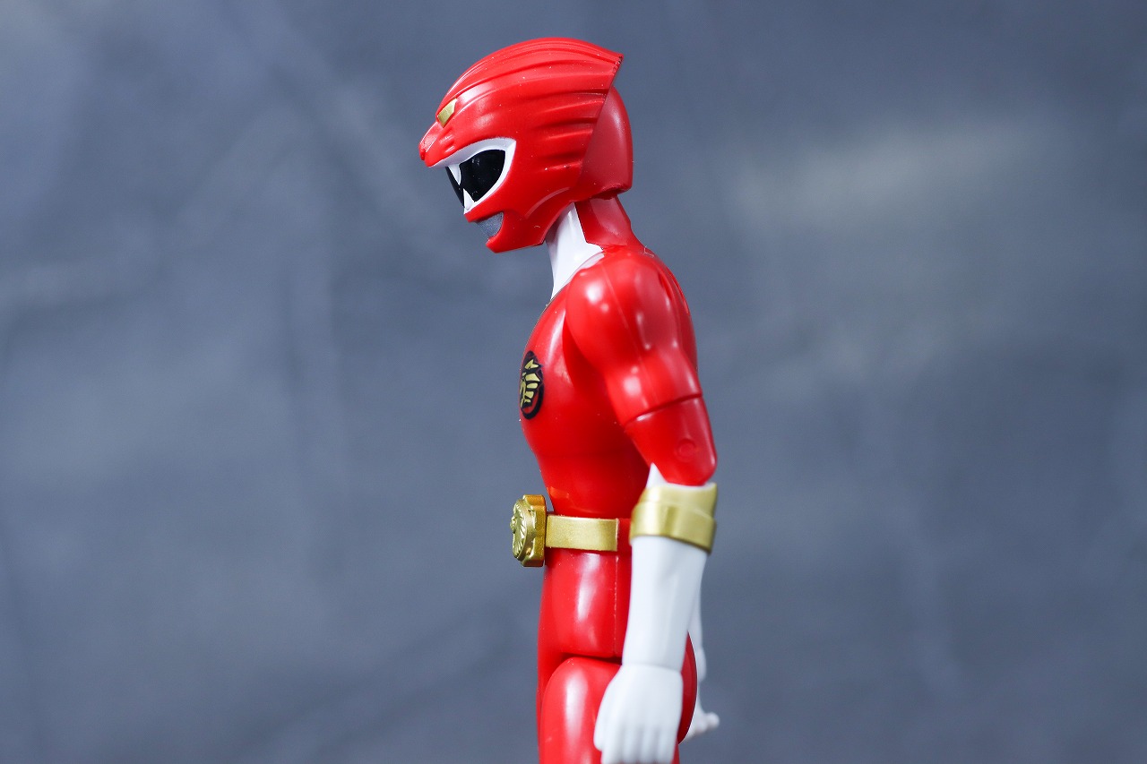 アクションヒーロー　ガオレッド　レビュー　可動範囲