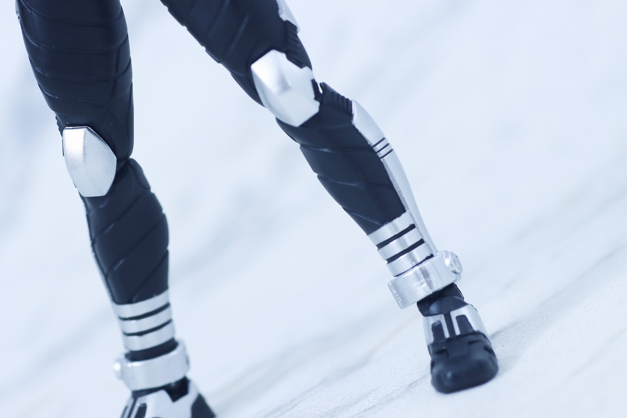 S.H.フィギュアーツ 真骨彫製法　仮面ライダーガタック ライダーフォーム　真骨彫10th Anniversary ver.　レビュー　本体