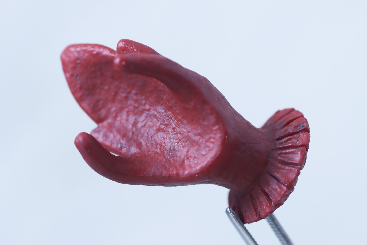 S.H.フィギュアーツ　ヒッポリト星人　レビュー　付属品　手首