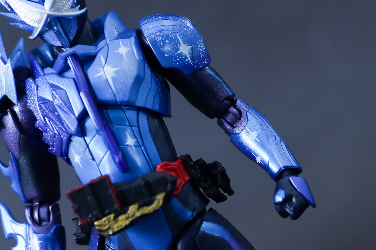 S.H.フィギュアーツ　仮面ライダークロスセイバー　レビュー　本体