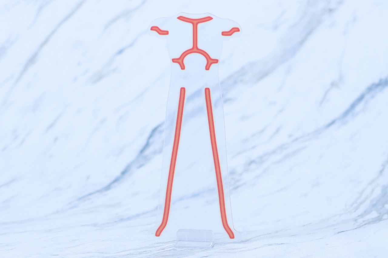 S.H.フィギュアーツ　乾巧　レビュー　付属品　ファイズドライバー