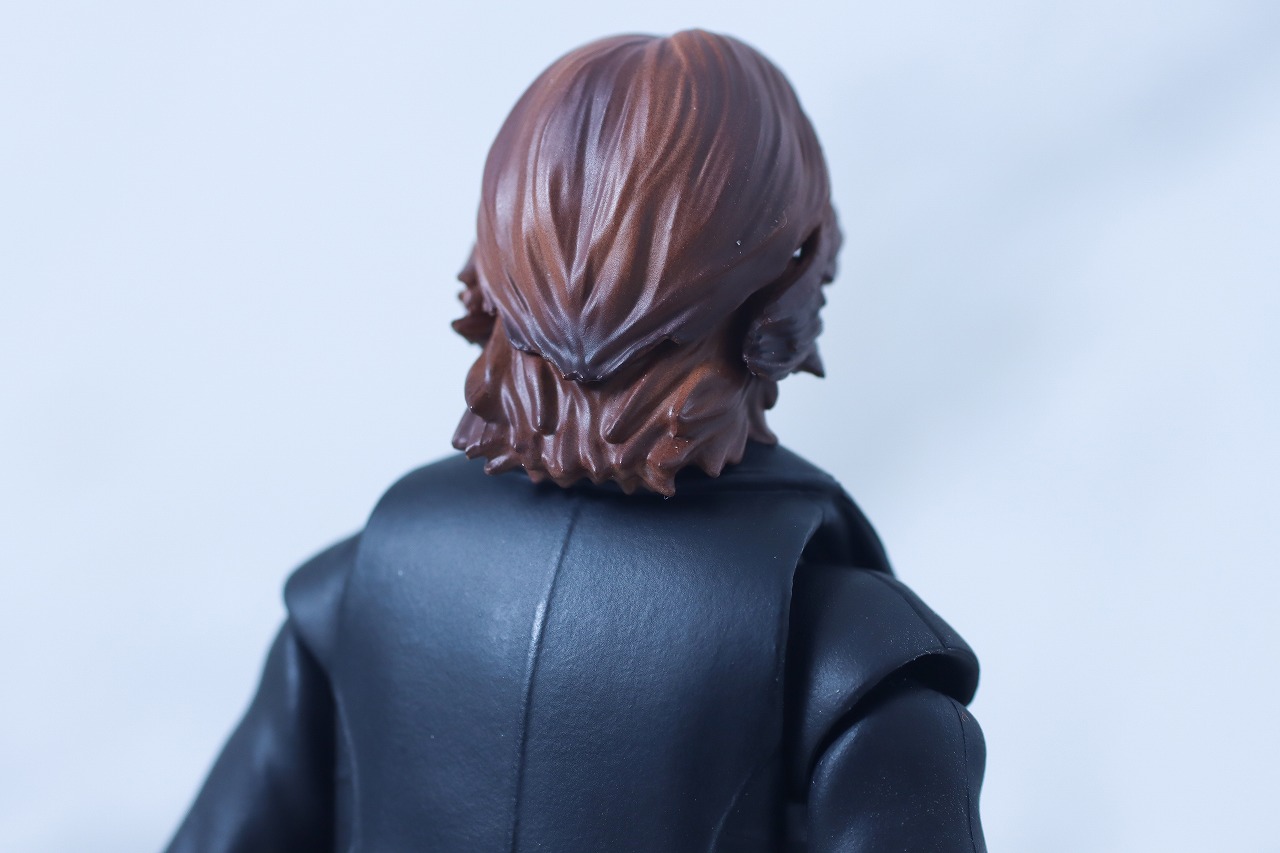 S.H.フィギュアーツ　乾巧　レビュー　本体