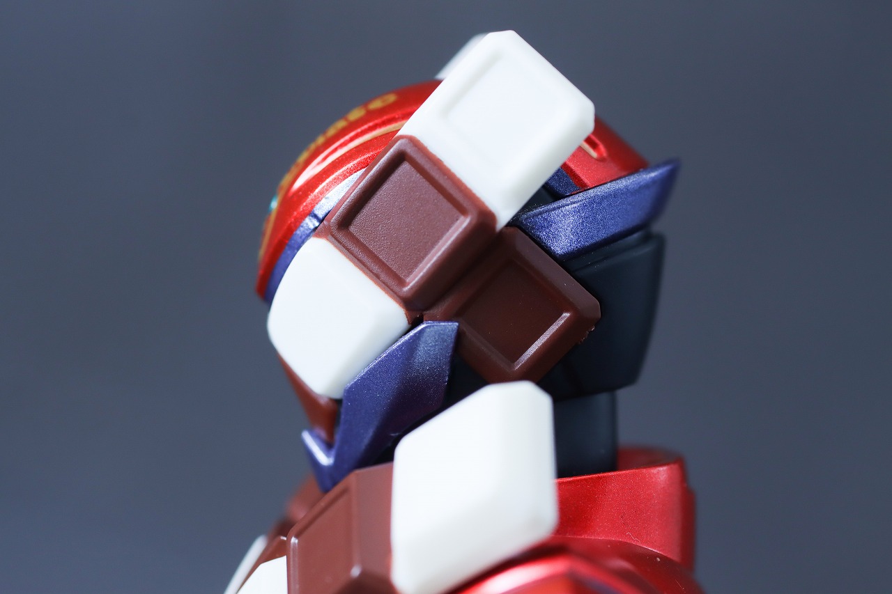 S.H.フィギュアーツ　仮面ライダーヴァレン チョコドンフォーム　レビュー　本体