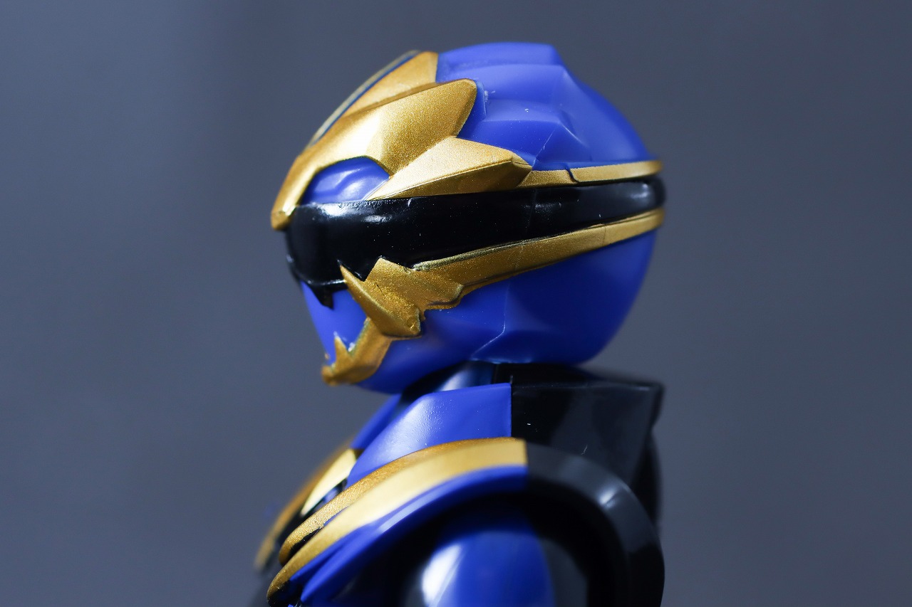 アクションヒーロー　ゴジュウレオン　レビュー　可動範囲