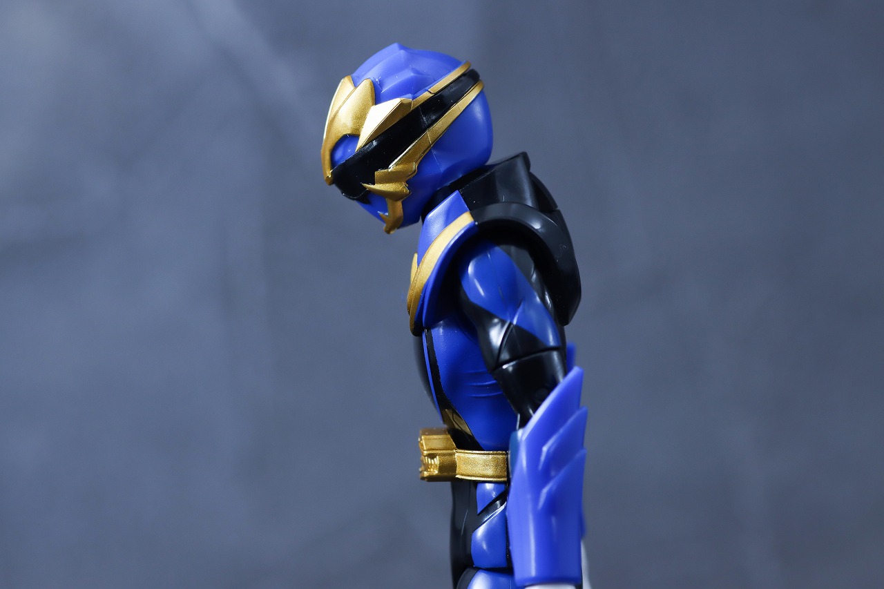 アクションヒーロー　ゴジュウレオン　レビュー　可動範囲