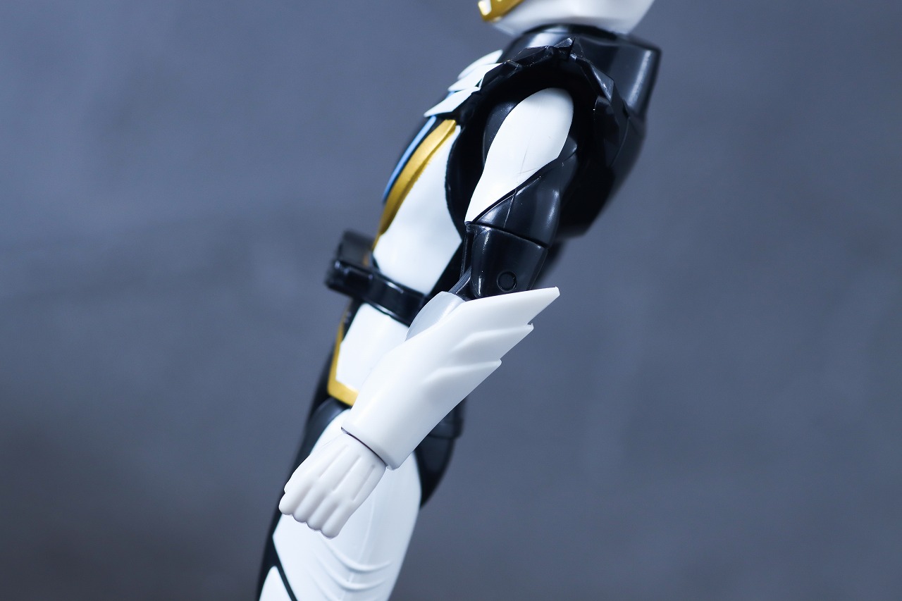 アクションヒーロー　ゴジュウポーラー　レビュー　本体