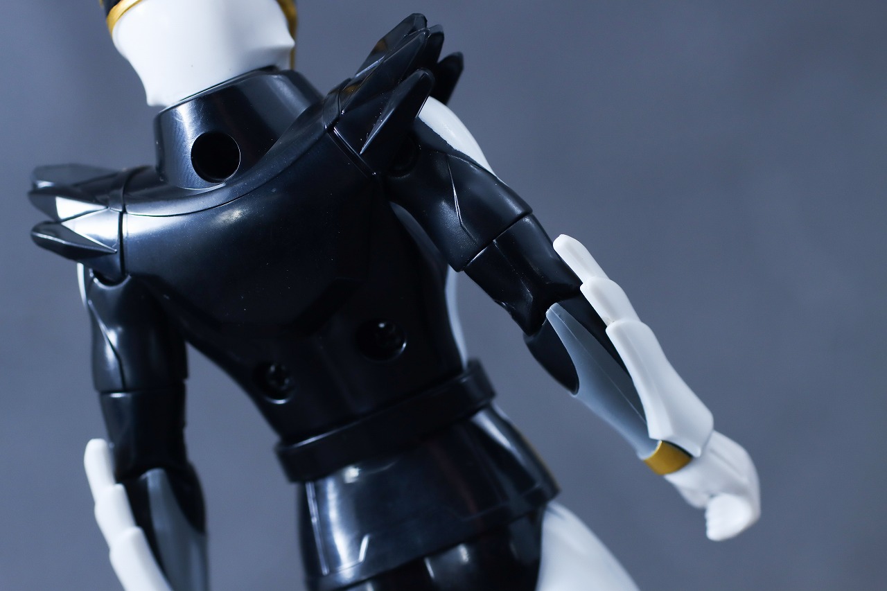 アクションヒーロー　ゴジュウポーラー　レビュー　本体