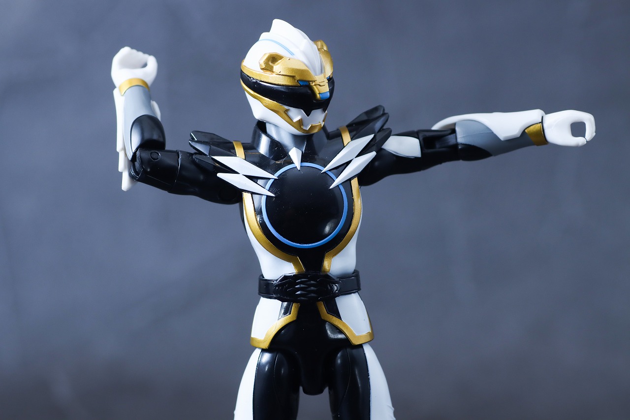 アクションヒーロー　ゴジュウポーラー　レビュー　可動範囲