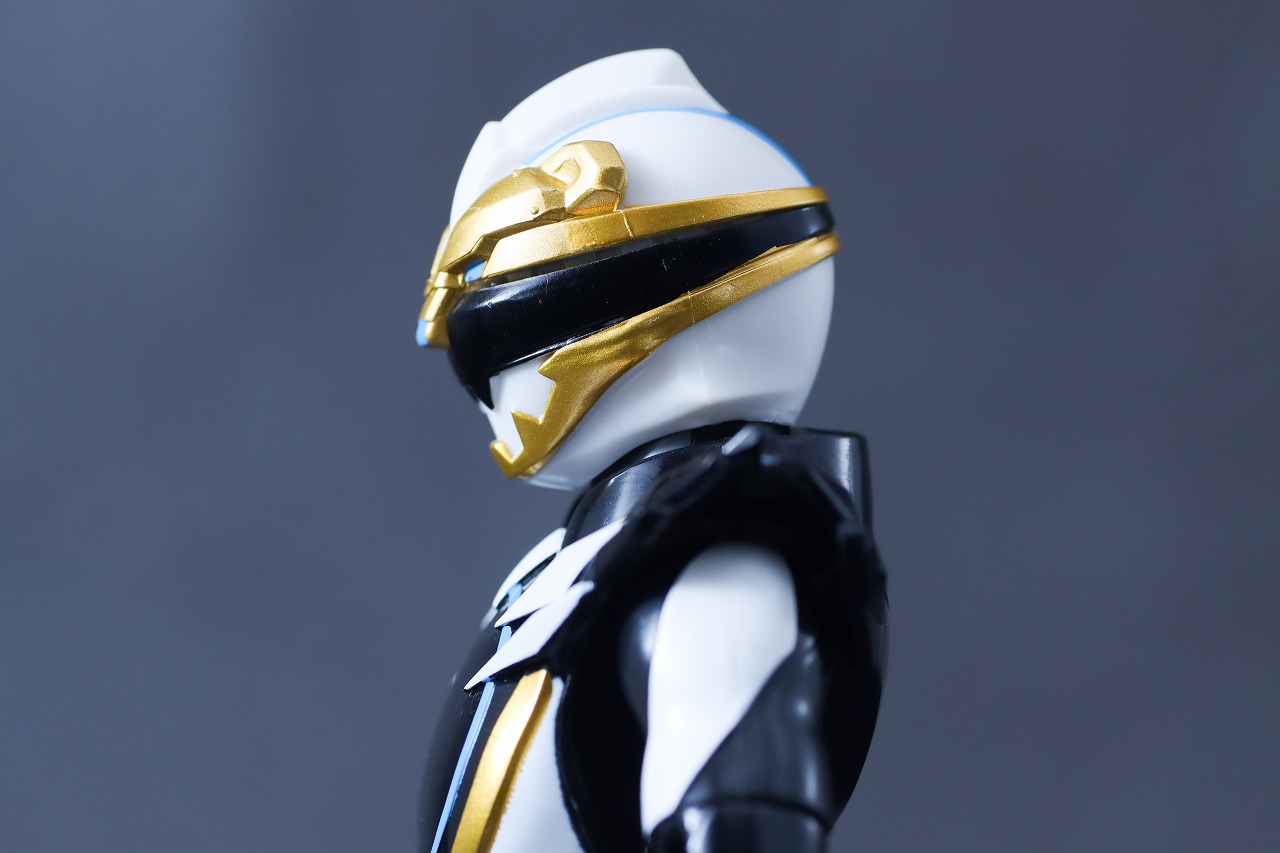 アクションヒーロー　ゴジュウポーラー　レビュー　可動範囲