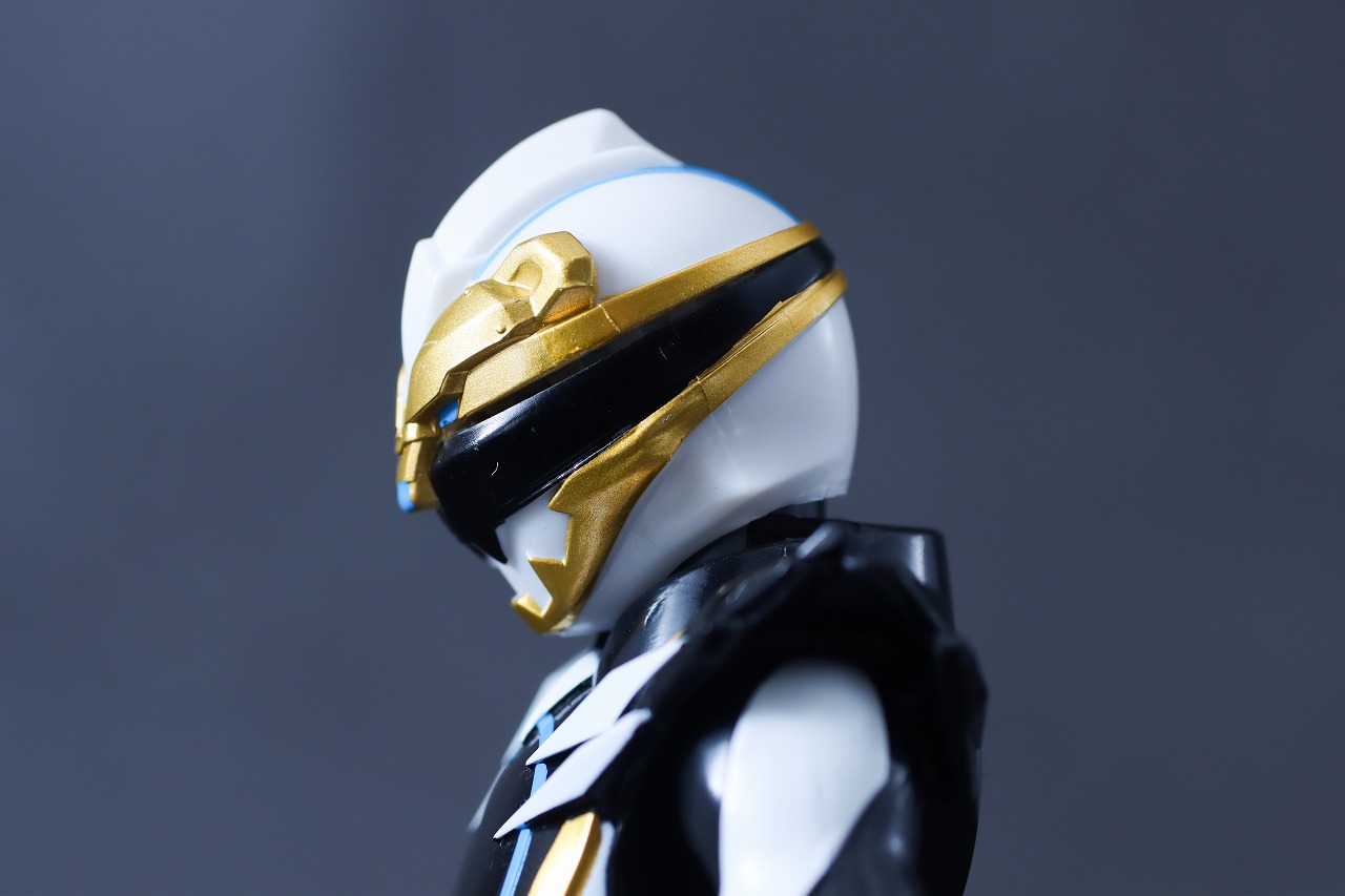 アクションヒーロー　ゴジュウポーラー　レビュー　可動範囲