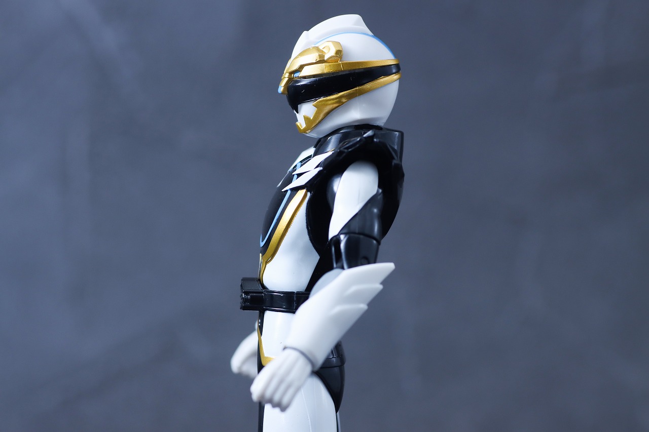 アクションヒーロー　ゴジュウポーラー　レビュー　可動範囲