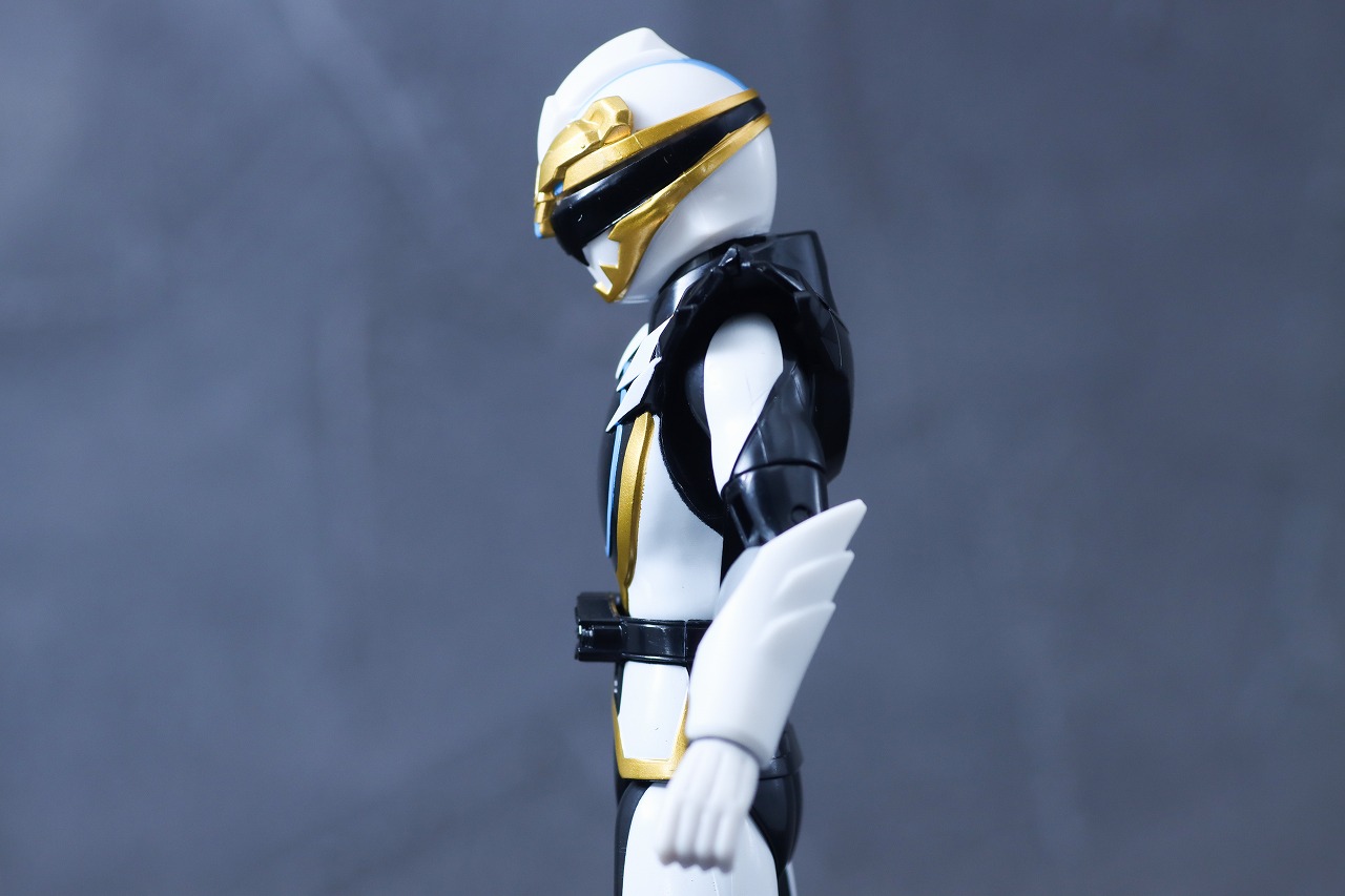 アクションヒーロー　ゴジュウポーラー　レビュー　可動範囲