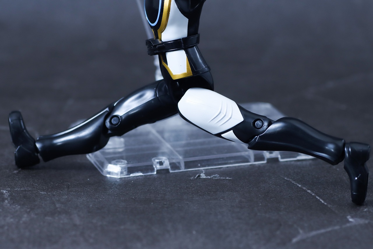 アクションヒーロー　ゴジュウポーラー　レビュー　可動範囲