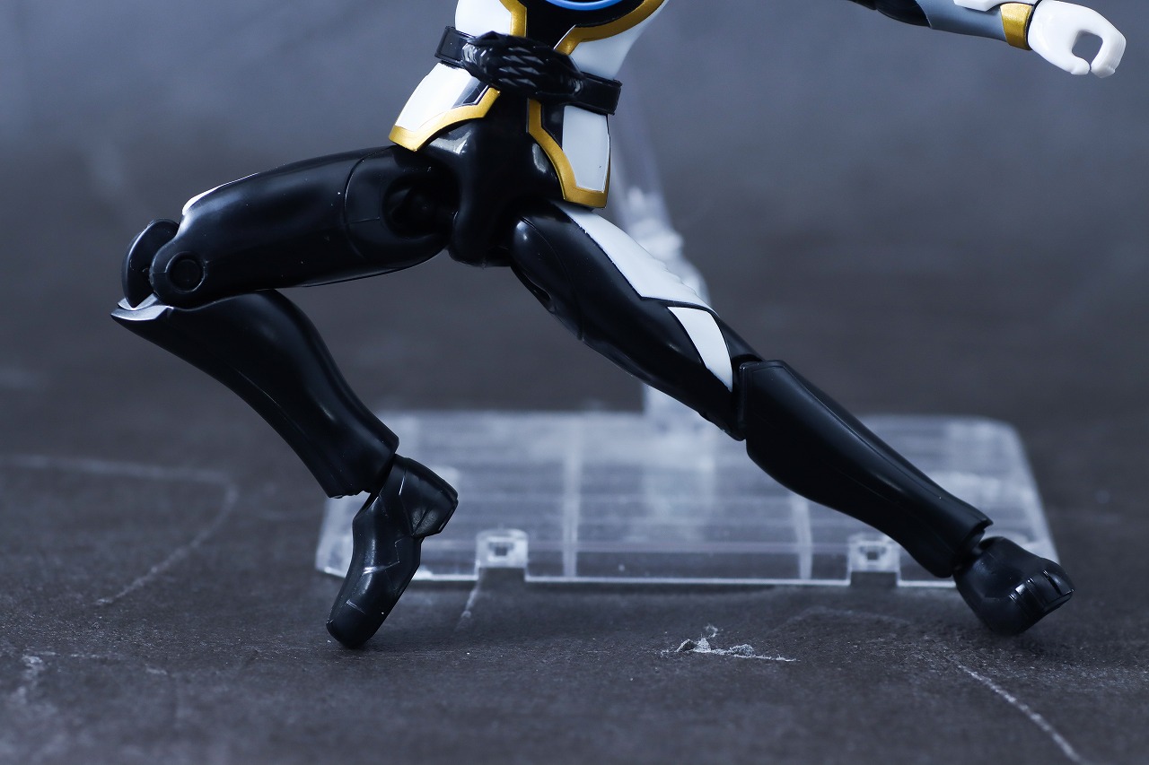 アクションヒーロー　ゴジュウポーラー　レビュー　可動範囲