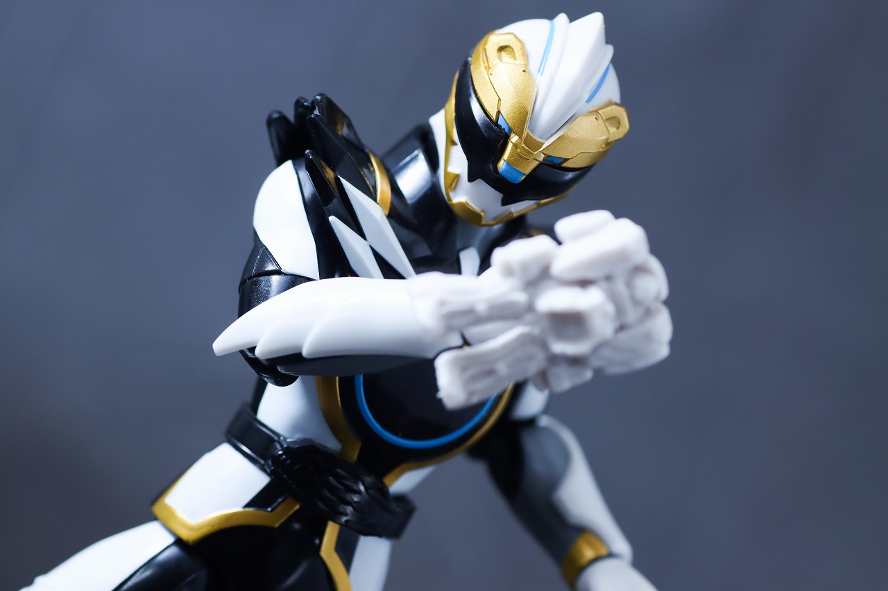 アクションヒーロー　ゴジュウポーラー　レビュー　アクション