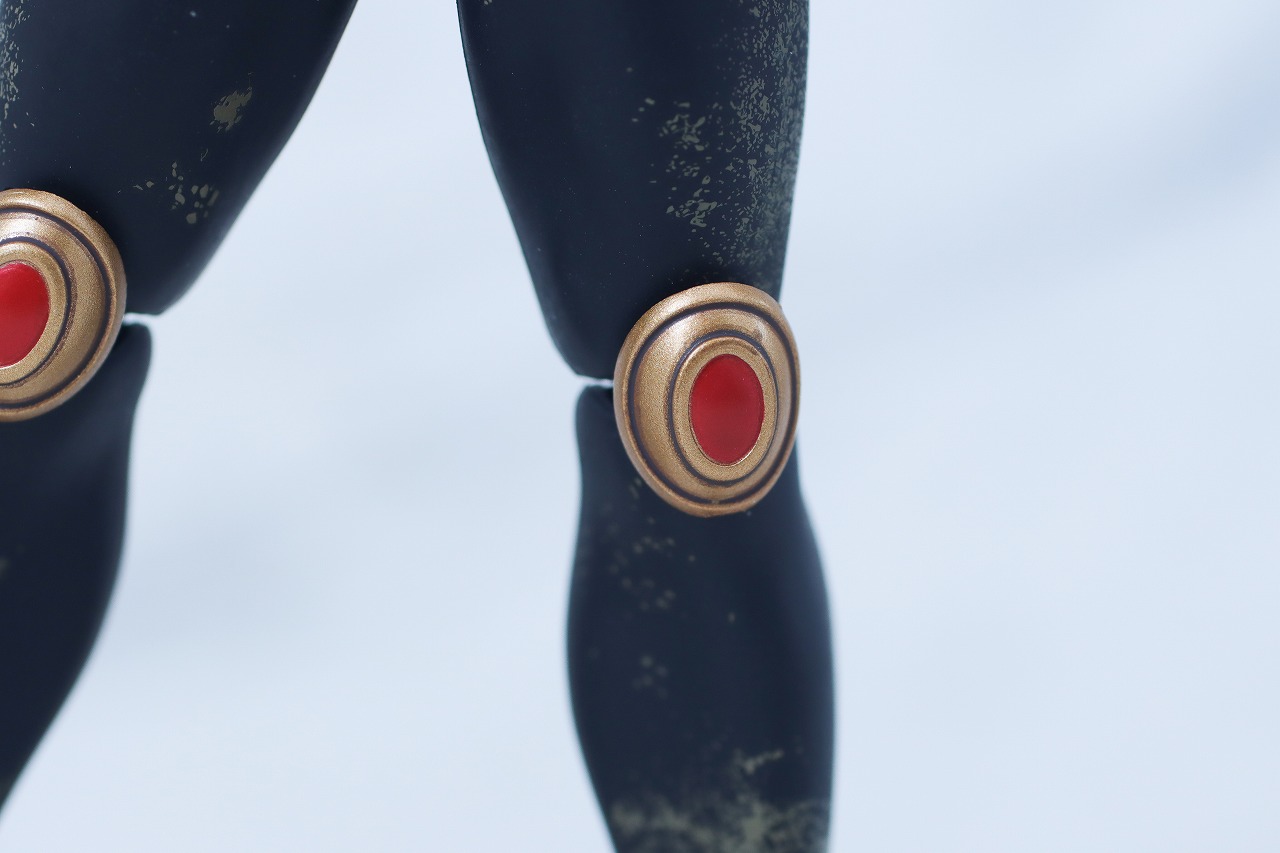 S.H.フィギュアーツ 真骨彫製法　超古代戦士クウガ　レビュー　本体