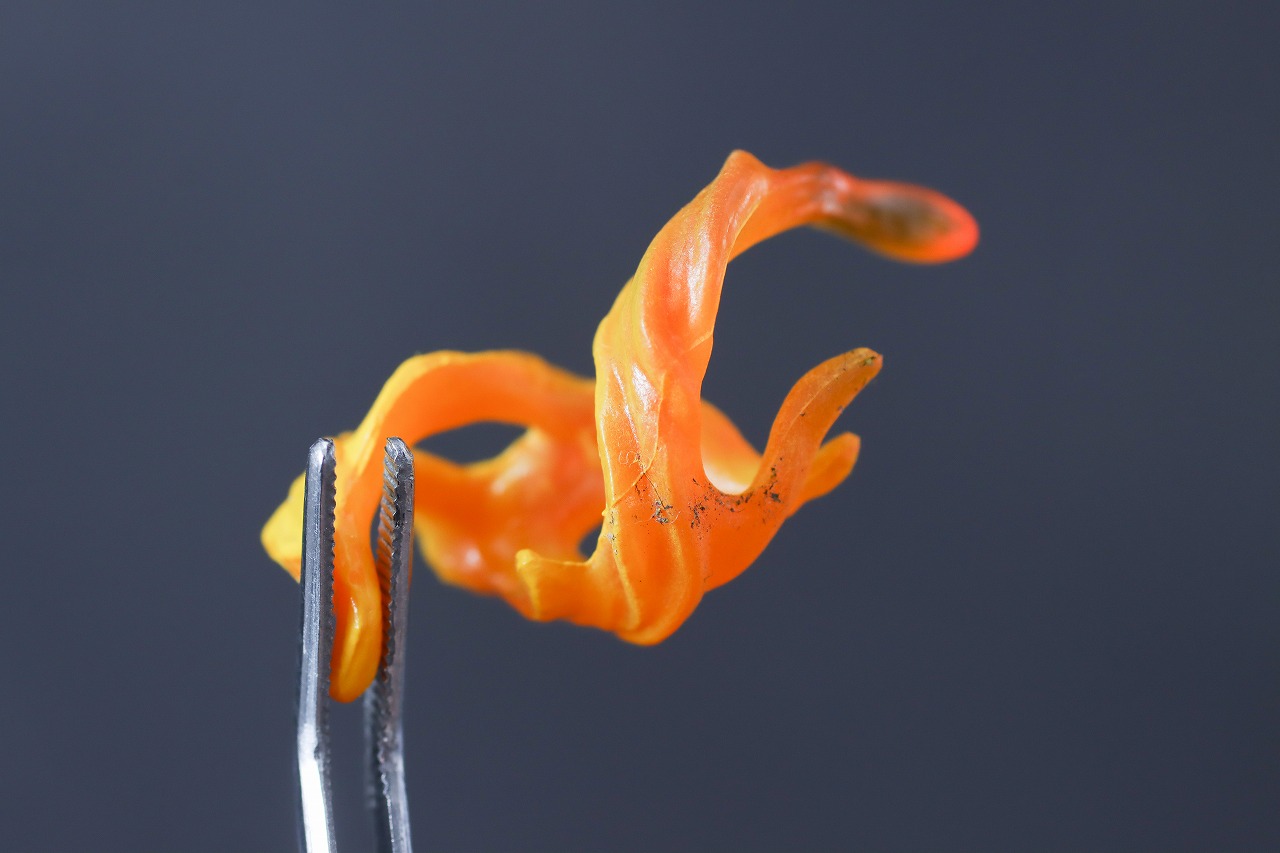 マーベルレジェンド　ジョニー・ストーム（『ファンタスティック4：ファースト・ステップ』）　レビュー　付属品　炎エフェクト