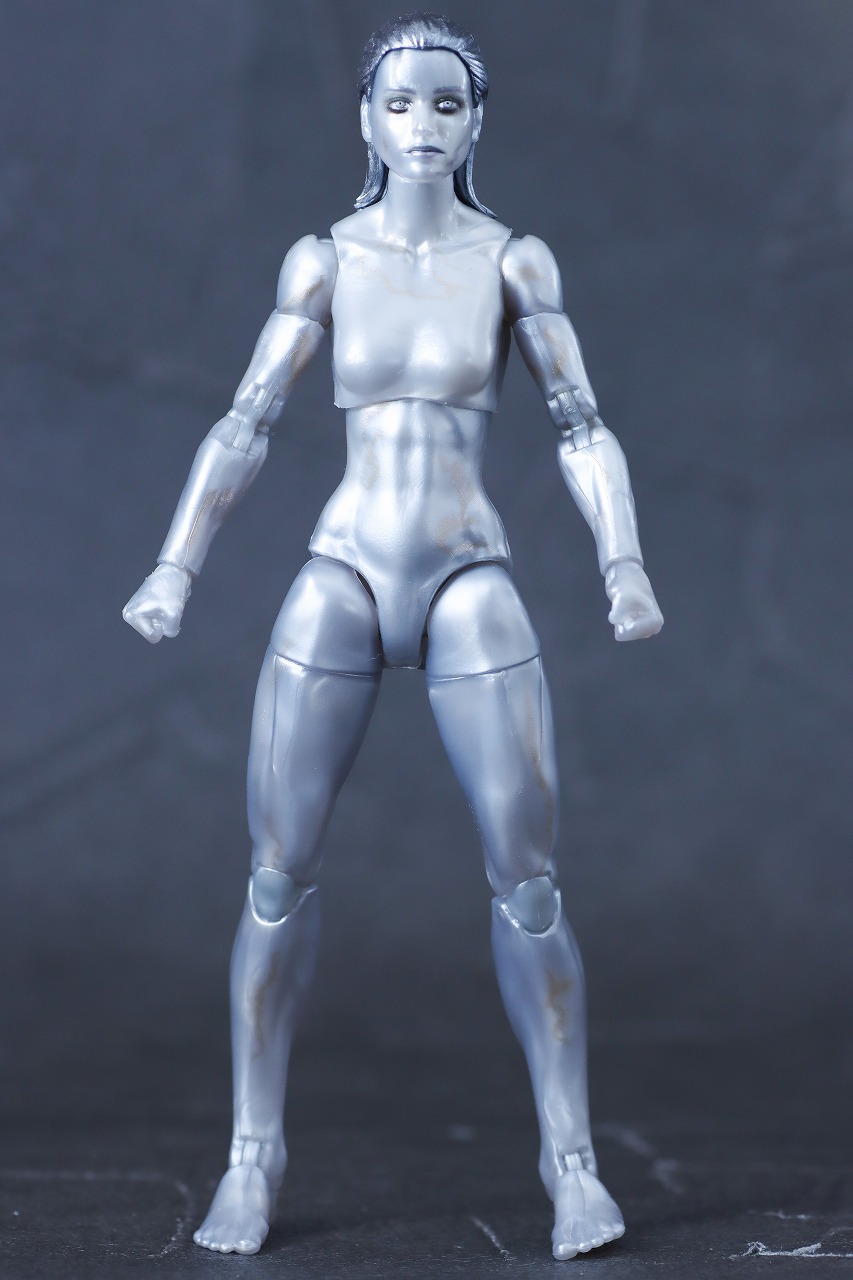 マーベルレジェンド　シルバーサーファー（『ファンタスティック4：ファースト・ステップ』）　レビュー　本体