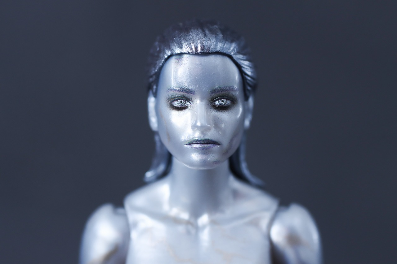 マーベルレジェンド　シルバーサーファー（『ファンタスティック4：ファースト・ステップ』）　レビュー　本体