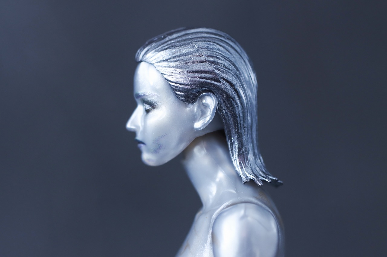 マーベルレジェンド　シルバーサーファー（『ファンタスティック4：ファースト・ステップ』）　レビュー　本体