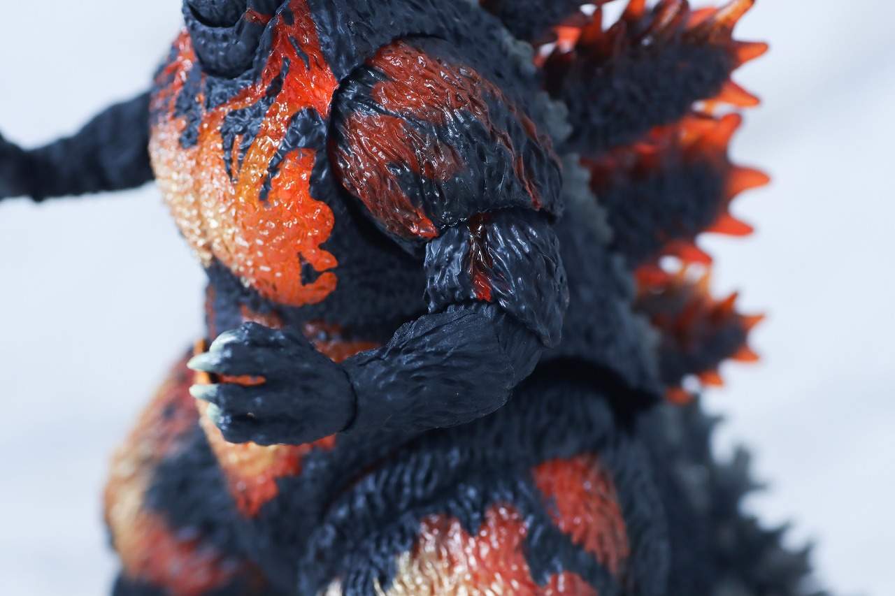 S.H.モンスターアーツ　ゴジラ（1995／バーニングゴジラ） 70周年特別記念Ver.　レビュー　本体