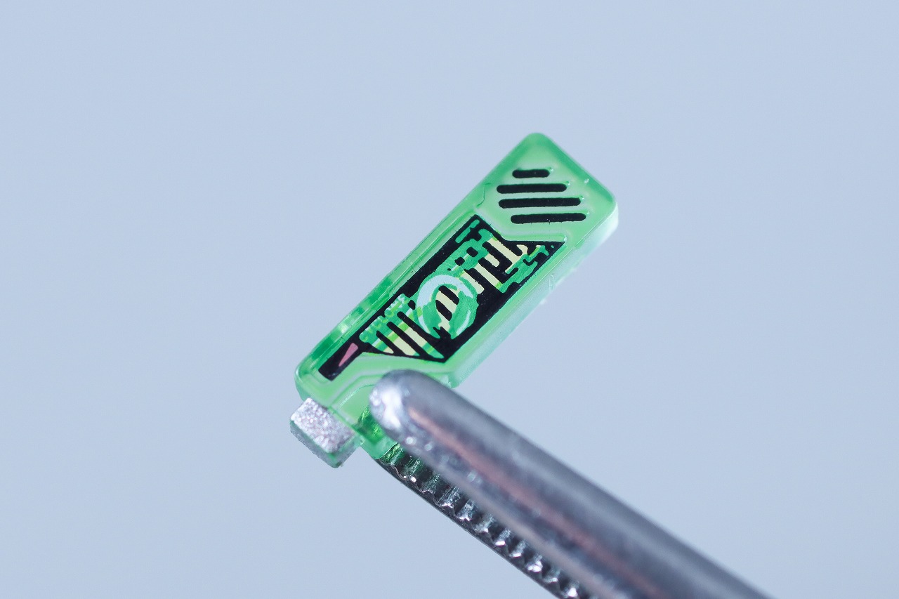 S.H.フィギュアーツ 真骨彫製法　仮面ライダーW サイクロンスカル　レビュー　付属品　サイクロンメモリ