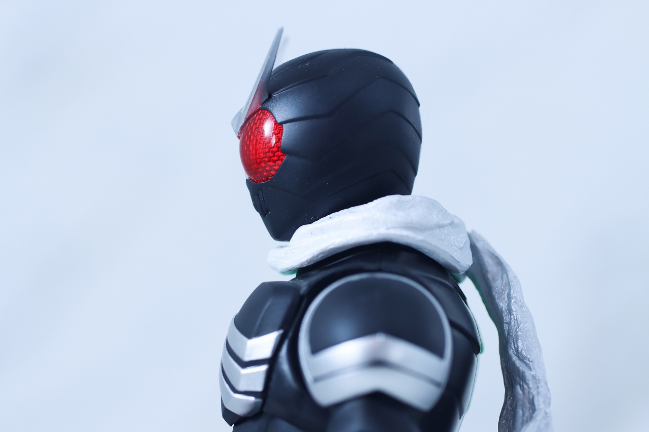 S.H.フィギュアーツ 真骨彫製法　仮面ライダーW サイクロンスカル　レビュー　本体