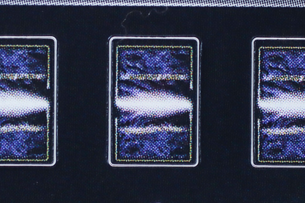 S.H.フィギュアーツ 真骨彫製法　仮面ライダー龍騎　レビュー　付属品　アドベントカード