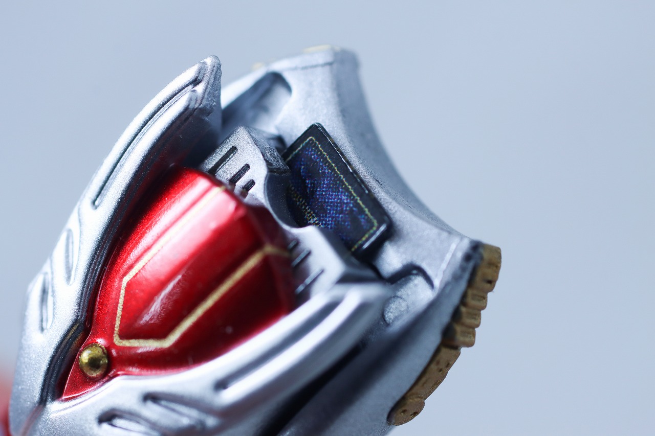 S.H.フィギュアーツ 真骨彫製法　仮面ライダー龍騎　レビュー　付属品　アドベントカード