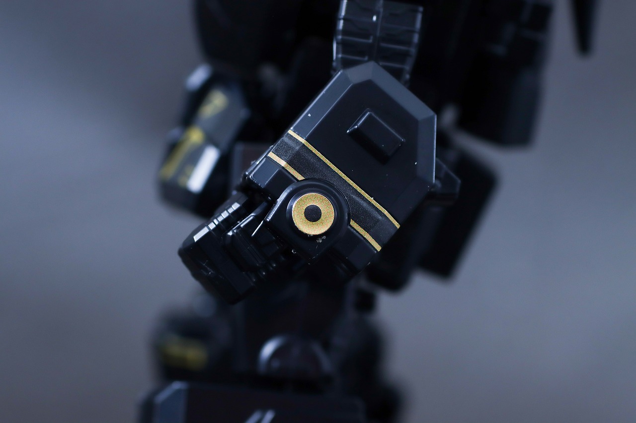 ミニプラ　ブラック大獣神　レビュー　本体