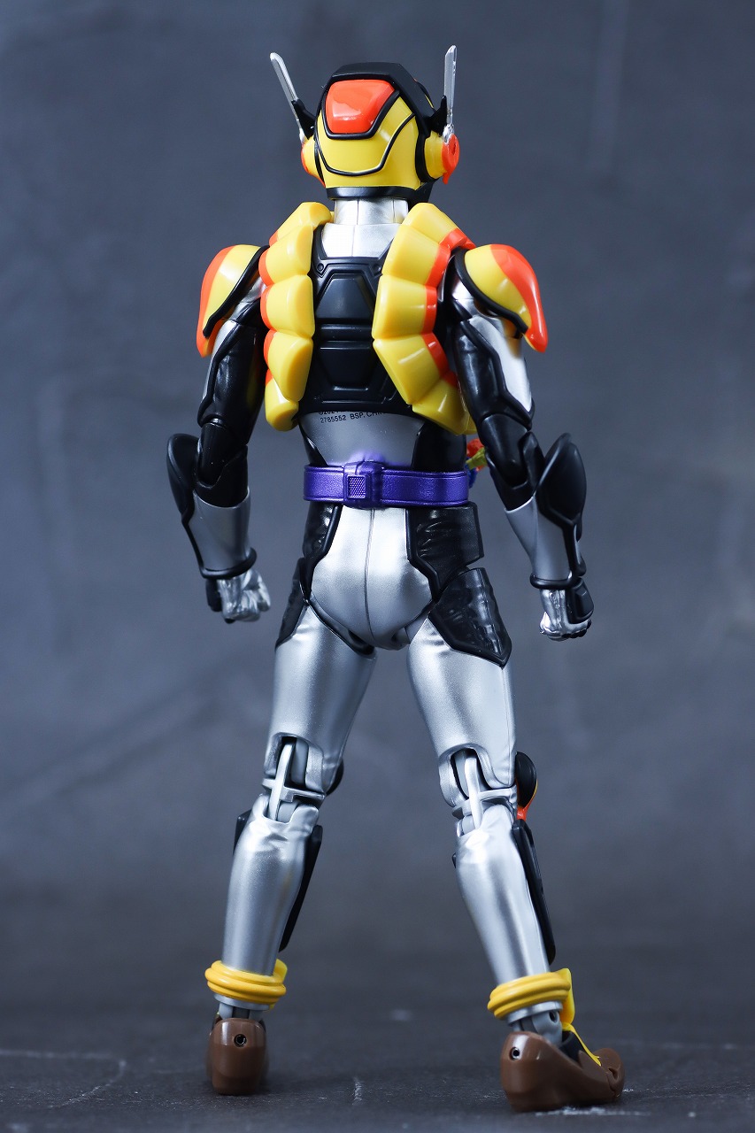 S.H.フィギュアーツ　仮面ライダーヴラム プリンカスタム　レビュー　本体