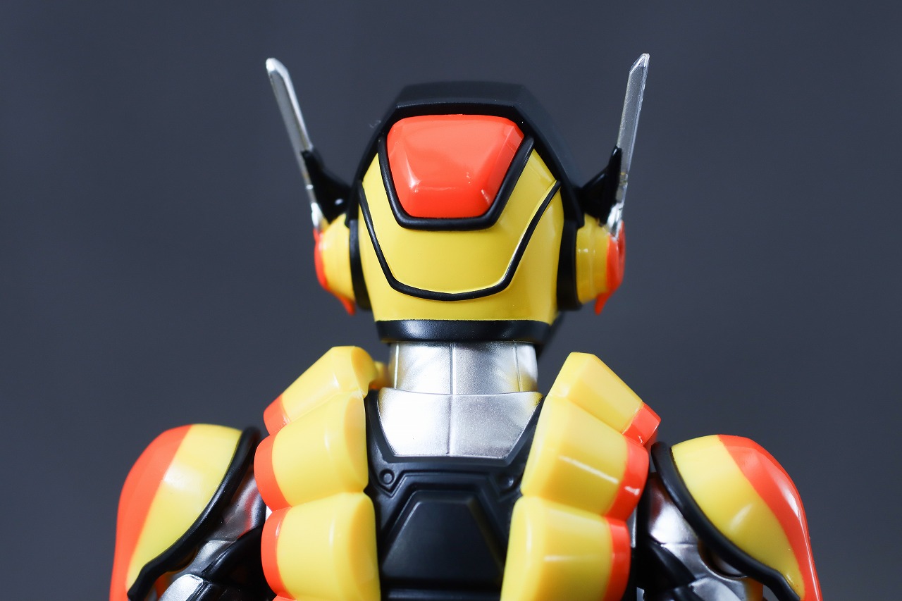 S.H.フィギュアーツ　仮面ライダーヴラム プリンカスタム　レビュー　本体