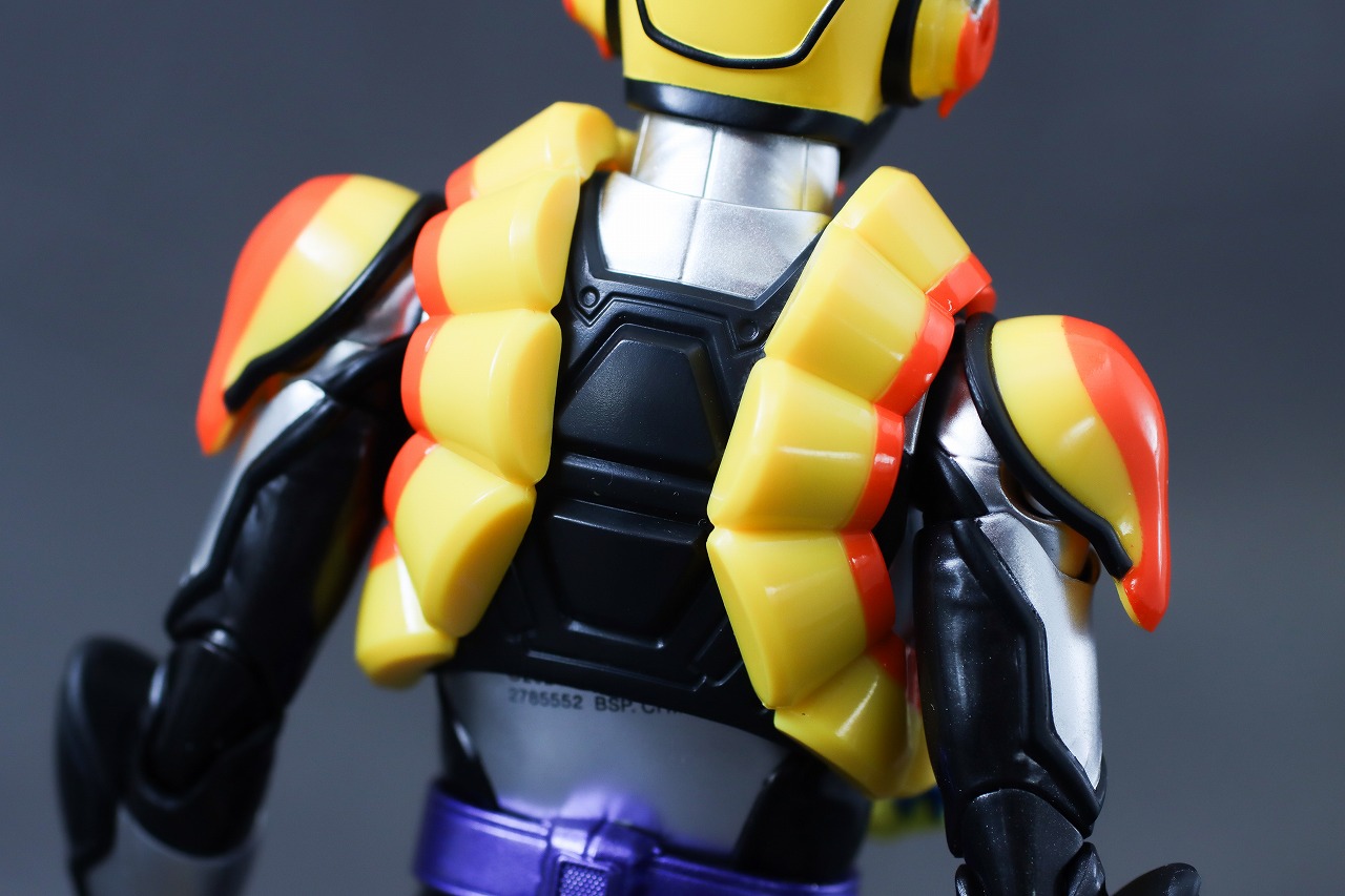 S.H.フィギュアーツ　仮面ライダーヴラム プリンカスタム　レビュー　本体