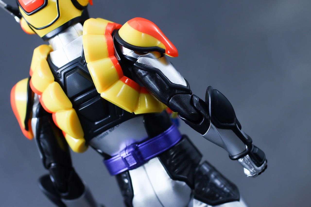 S.H.フィギュアーツ　仮面ライダーヴラム プリンカスタム　レビュー　本体