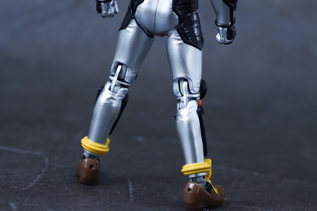 S.H.フィギュアーツ　仮面ライダーヴラム プリンカスタム　レビュー　本体