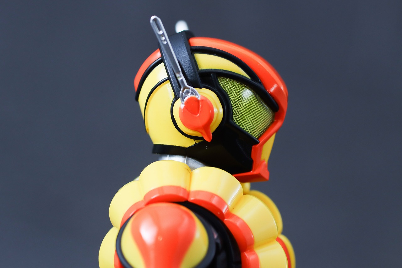 S.H.フィギュアーツ　仮面ライダーヴラム プリンカスタム　レビュー　本体