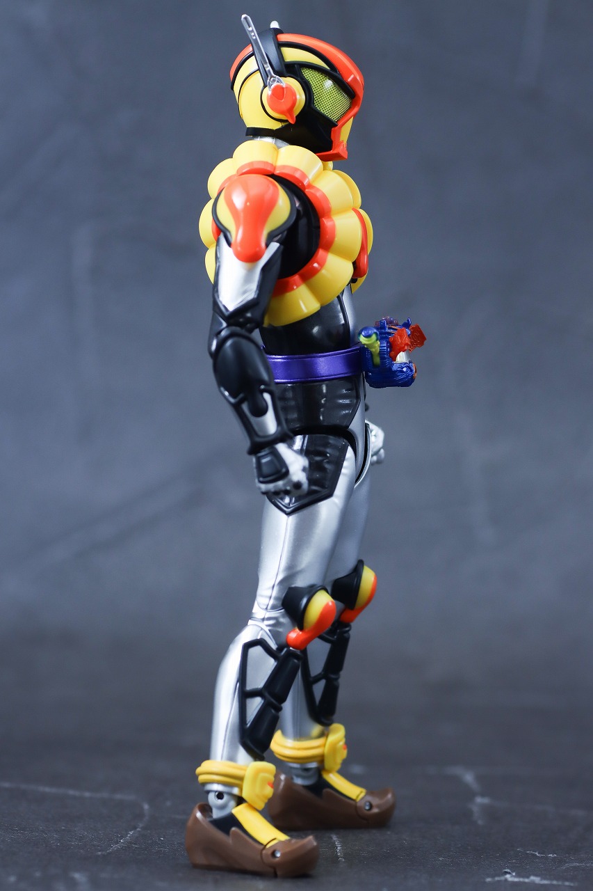 S.H.フィギュアーツ　仮面ライダーヴラム プリンカスタム　レビュー　本体