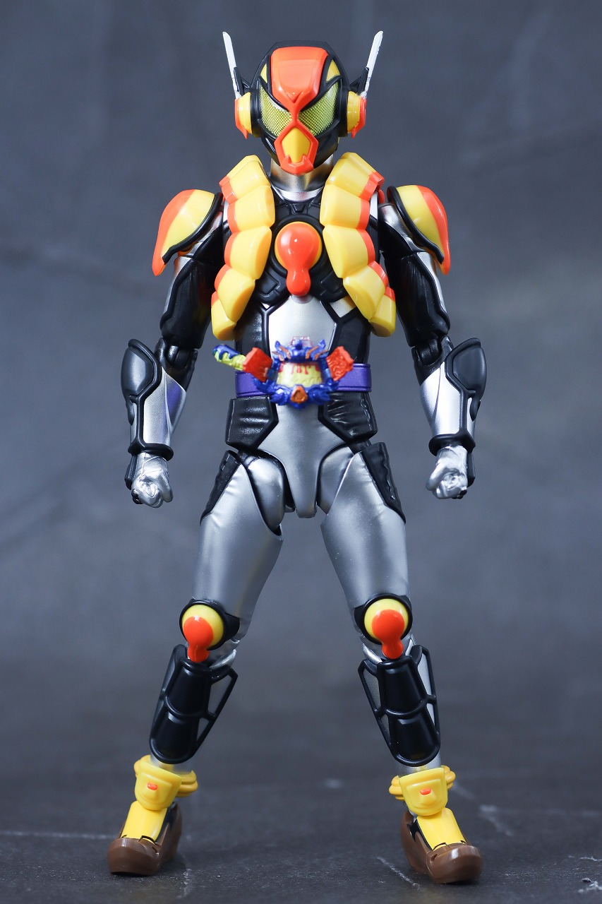 S.H.フィギュアーツ　仮面ライダーヴラム プリンカスタム　レビュー　本体