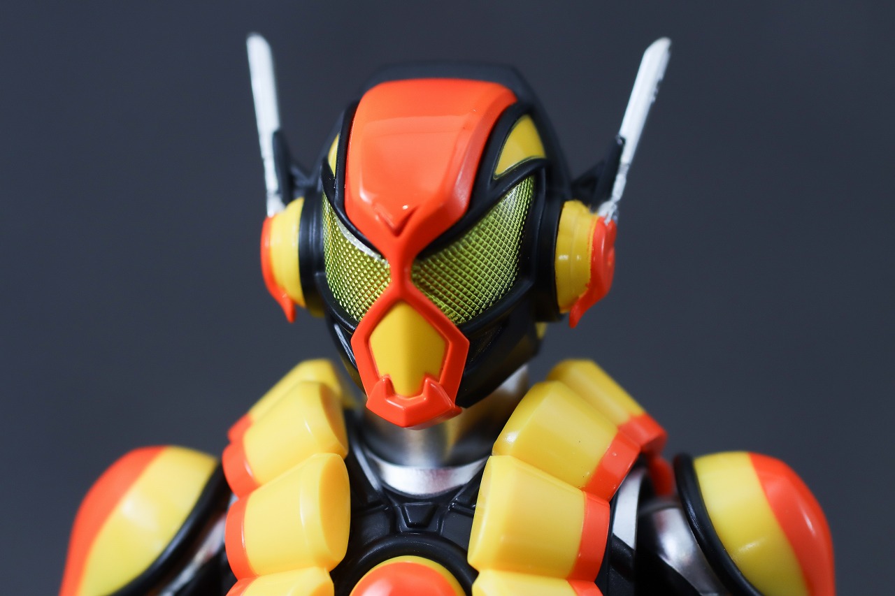 S.H.フィギュアーツ　仮面ライダーヴラム プリンカスタム　レビュー　本体