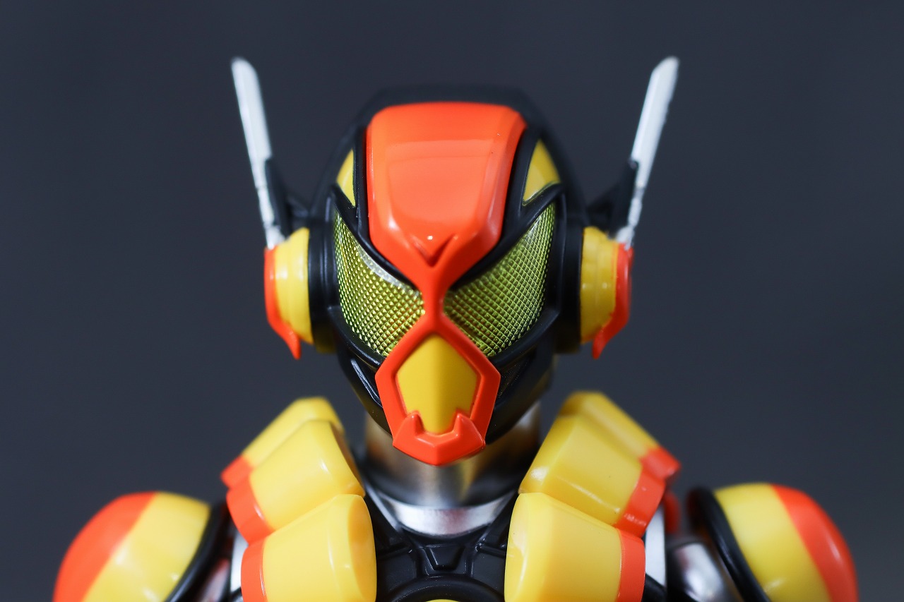 S.H.フィギュアーツ　仮面ライダーヴラム プリンカスタム　レビュー　本体