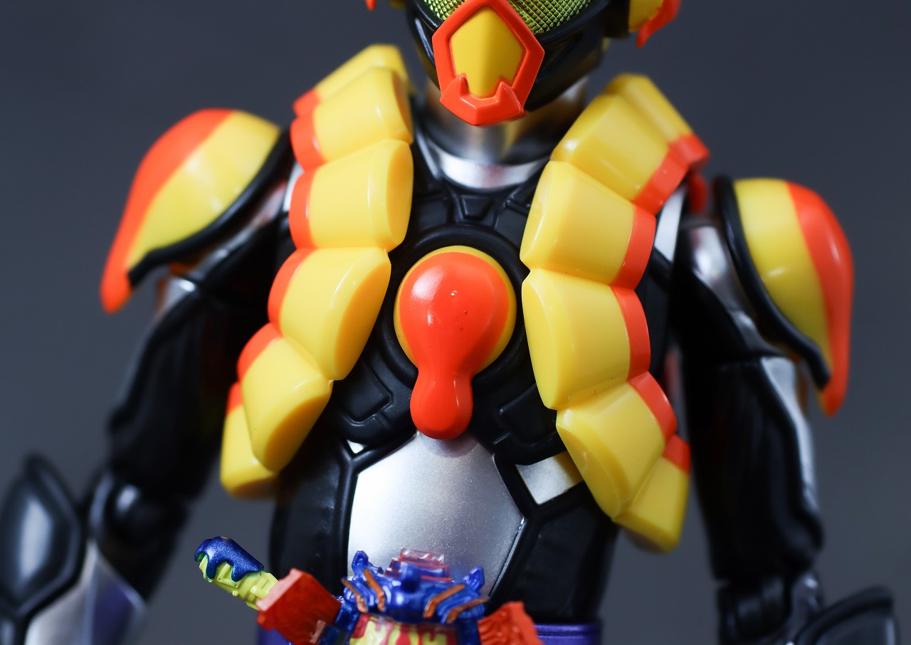 S.H.フィギュアーツ　仮面ライダーヴラム プリンカスタム　レビュー　本体