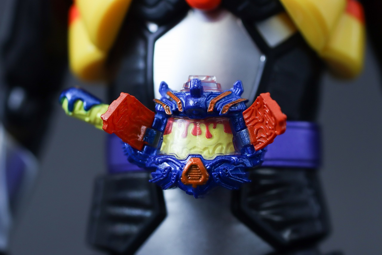 S.H.フィギュアーツ　仮面ライダーヴラム プリンカスタム　レビュー　本体