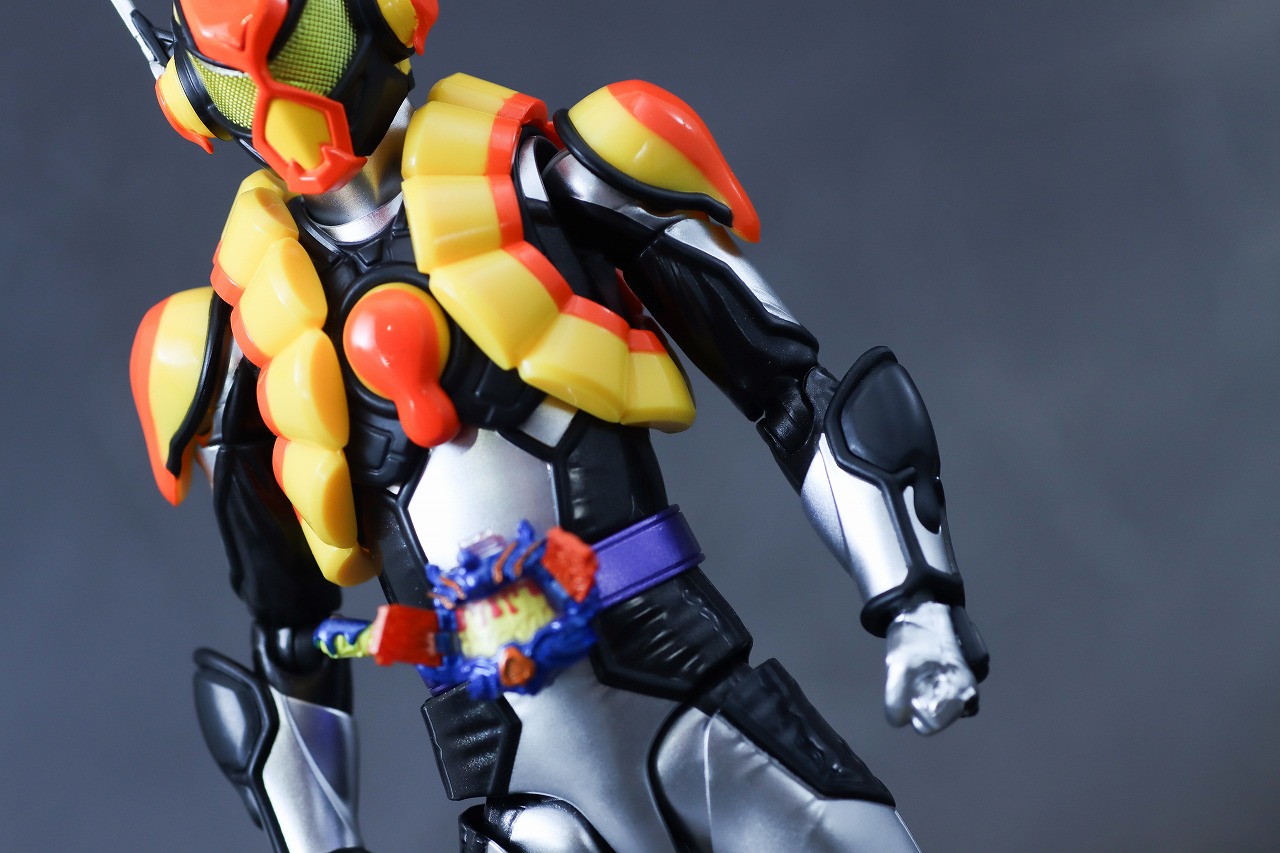 S.H.フィギュアーツ　仮面ライダーヴラム プリンカスタム　レビュー　本体