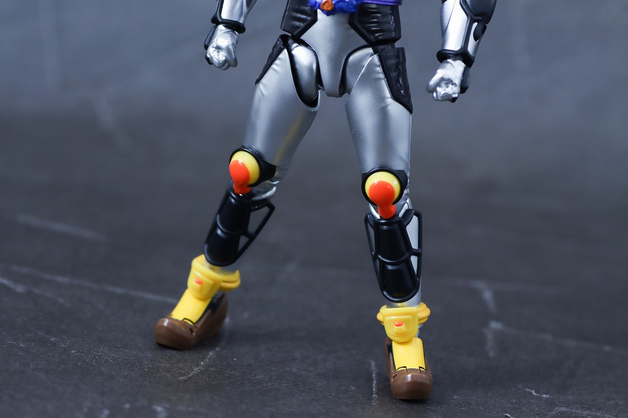 S.H.フィギュアーツ　仮面ライダーヴラム プリンカスタム　レビュー　本体