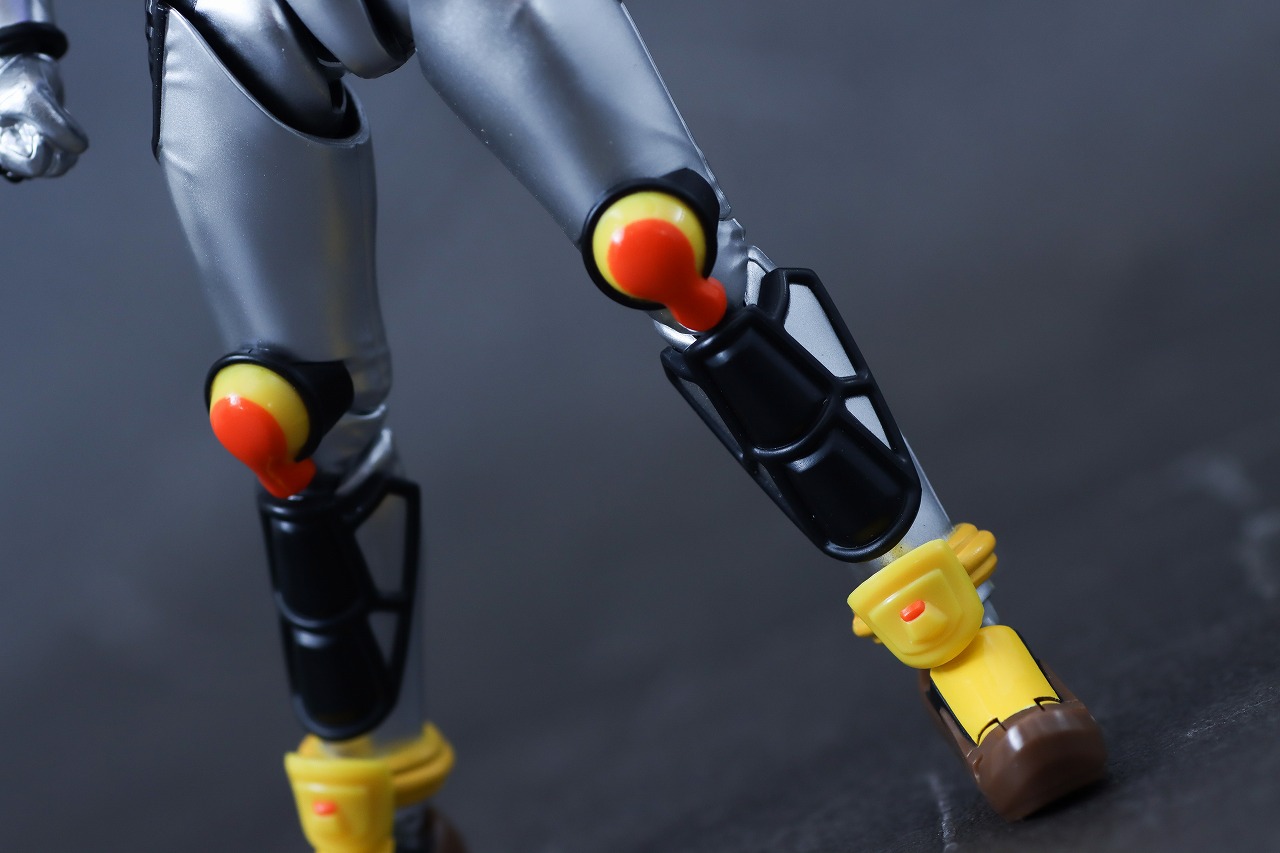 S.H.フィギュアーツ　仮面ライダーヴラム プリンカスタム　レビュー　本体