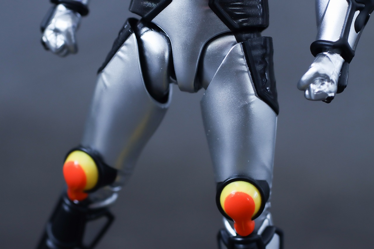 S.H.フィギュアーツ　仮面ライダーヴラム プリンカスタム　レビュー　本体