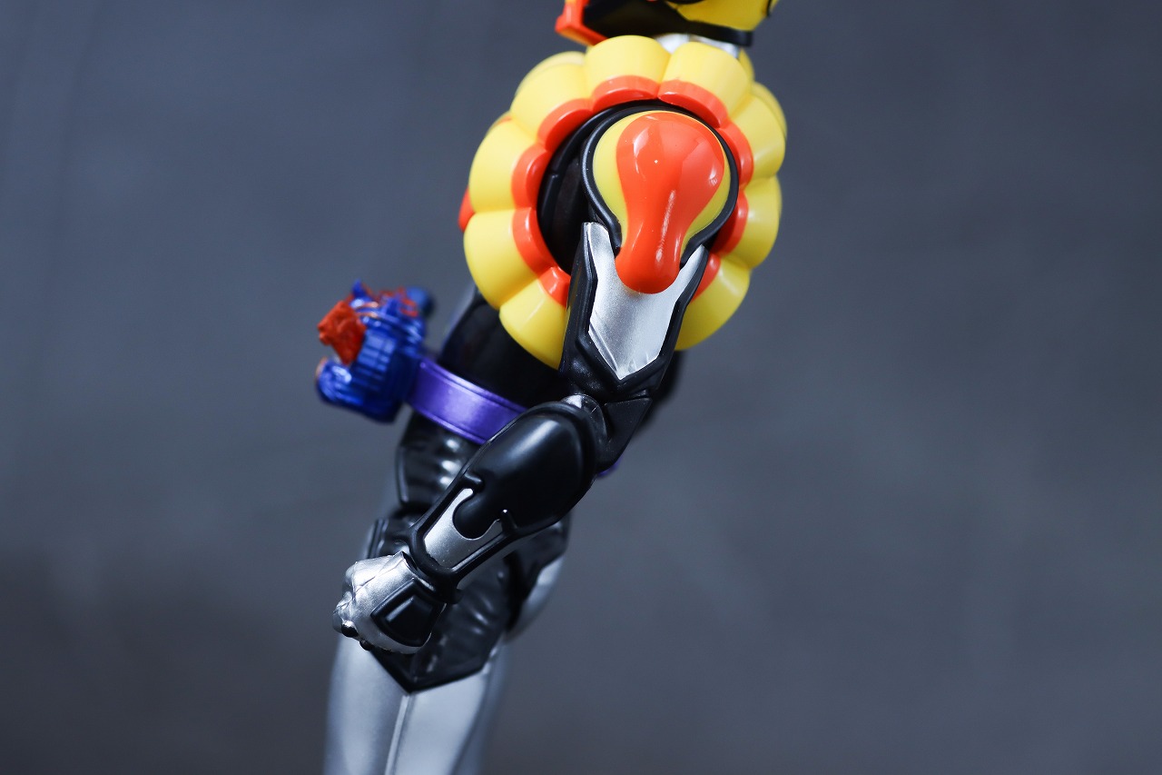 S.H.フィギュアーツ　仮面ライダーヴラム プリンカスタム　レビュー　本体