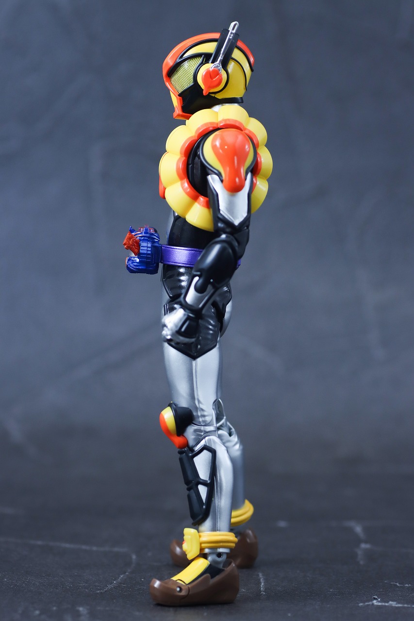 S.H.フィギュアーツ　仮面ライダーヴラム プリンカスタム　レビュー　本体